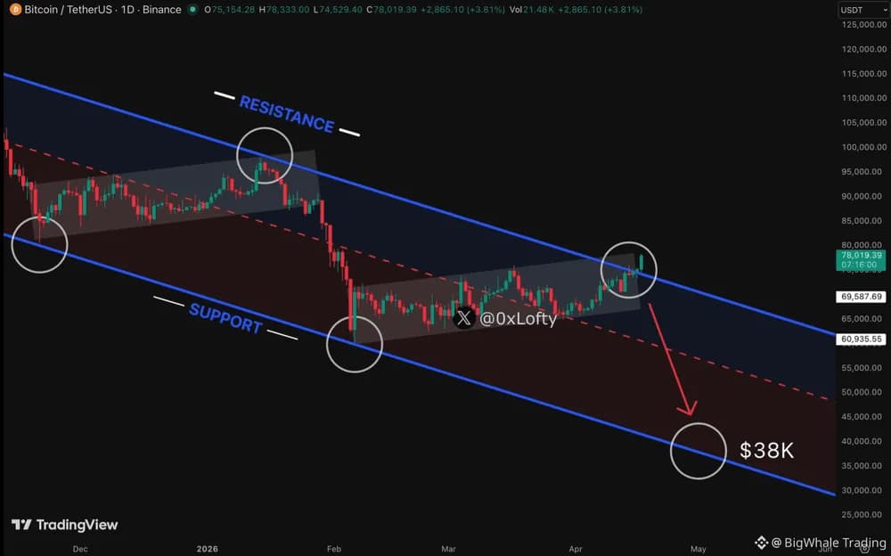 Bull Run Hay Bẫy Tăng Giá? Cách Nhận Biết Sớm Để Tránh Mua Đỉnh