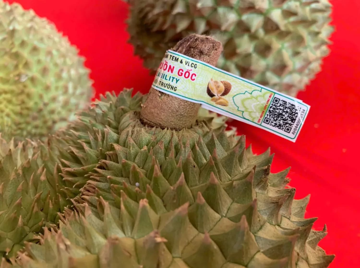 bản tin vắn sáng 30/06/2026 - truy xuất nguồn gốc nông sản