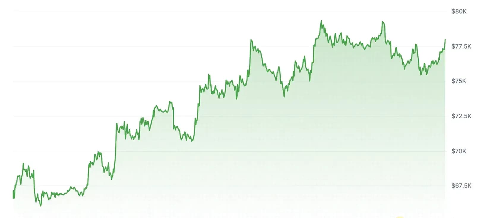 Bitcoin sáng 10/05/2026: BTC sát vùng 81.000 USD