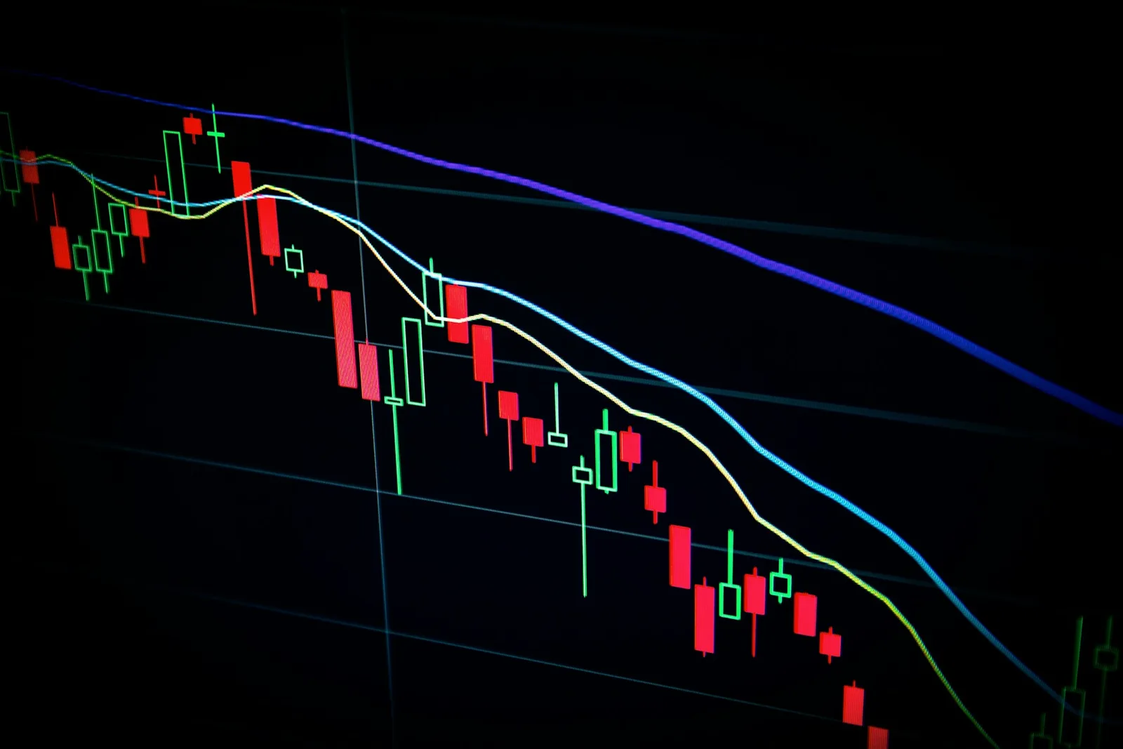 Nhà đầu tư theo dõi dữ liệu và biến động Bitcoin