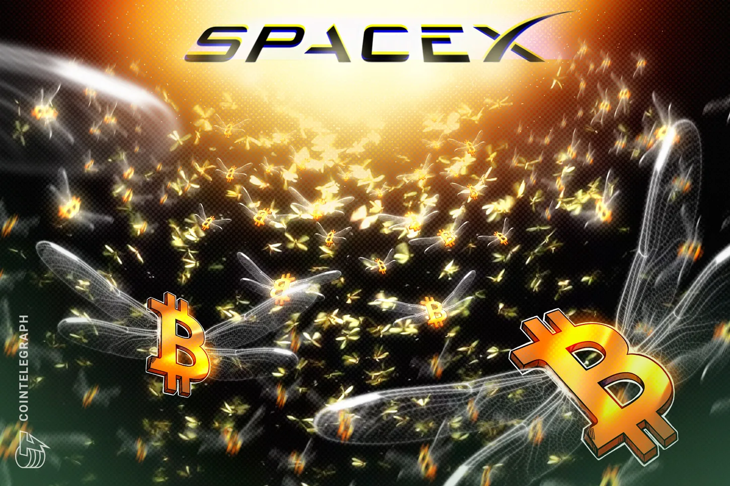 Câu chuyện dòng vốn tổ chức và nhu cầu tiếp xúc Bitcoin qua doanh nghiệp lớn - Crypto tối 12/06/2026