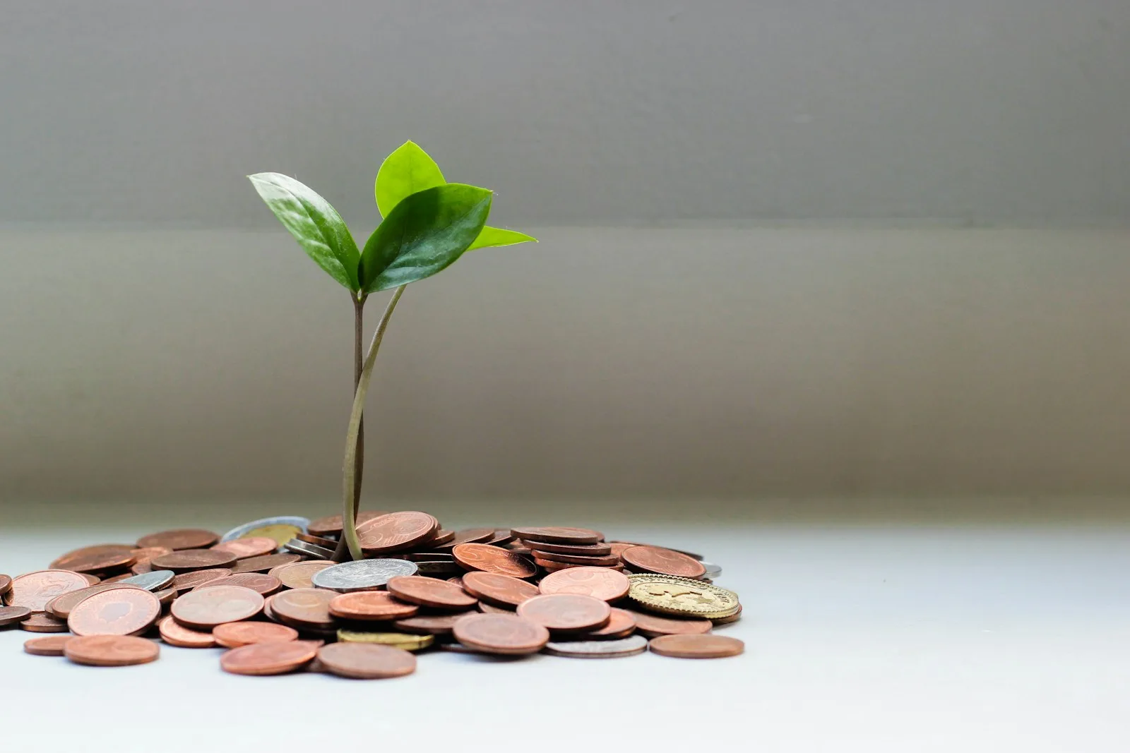 đồng USD và dòng tiền quốc tế trong bản tin vắn buổi sáng 28/06/2026