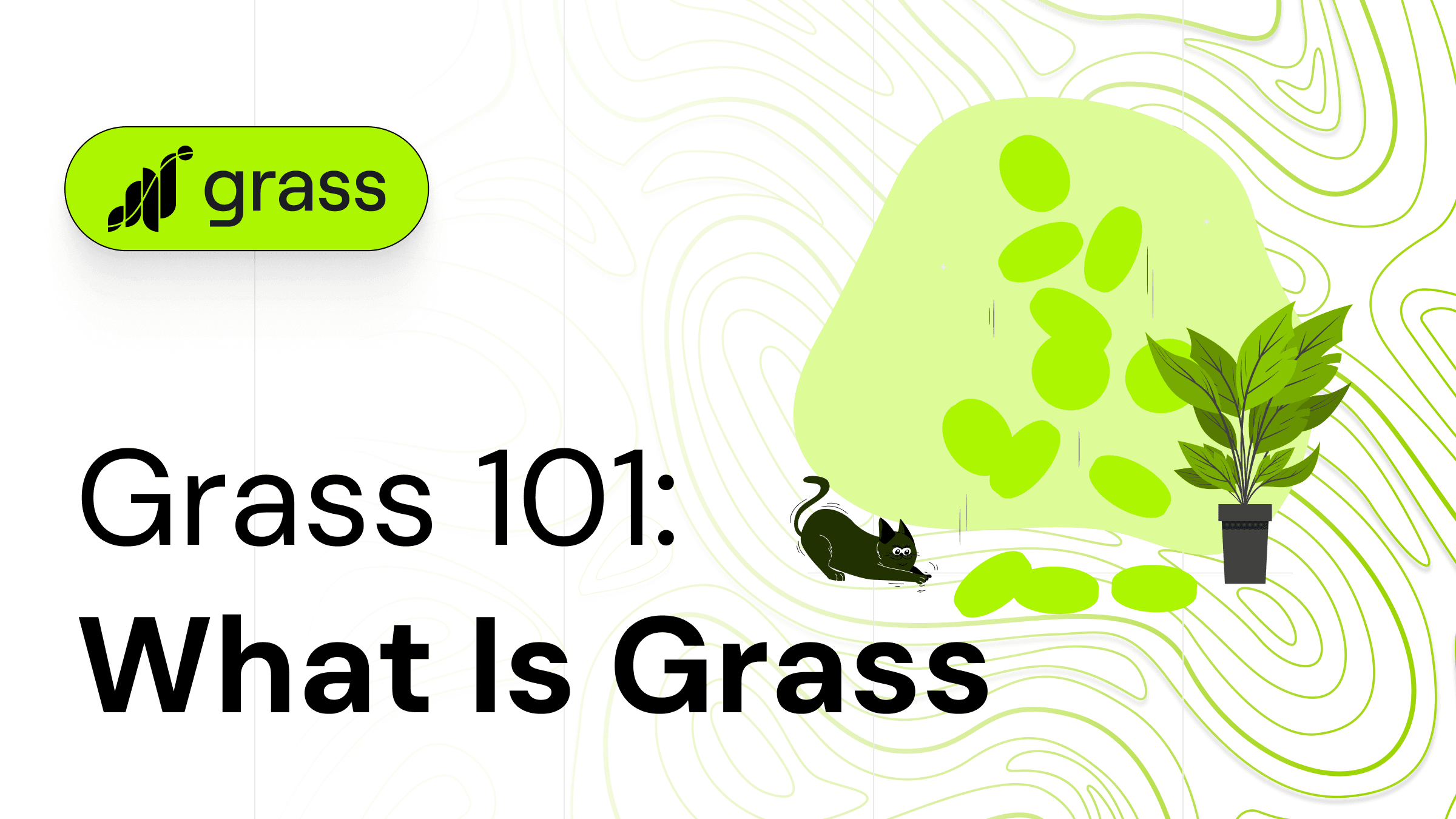 Tầm quan trọng của việc xác minh listing GRASS trên OKX